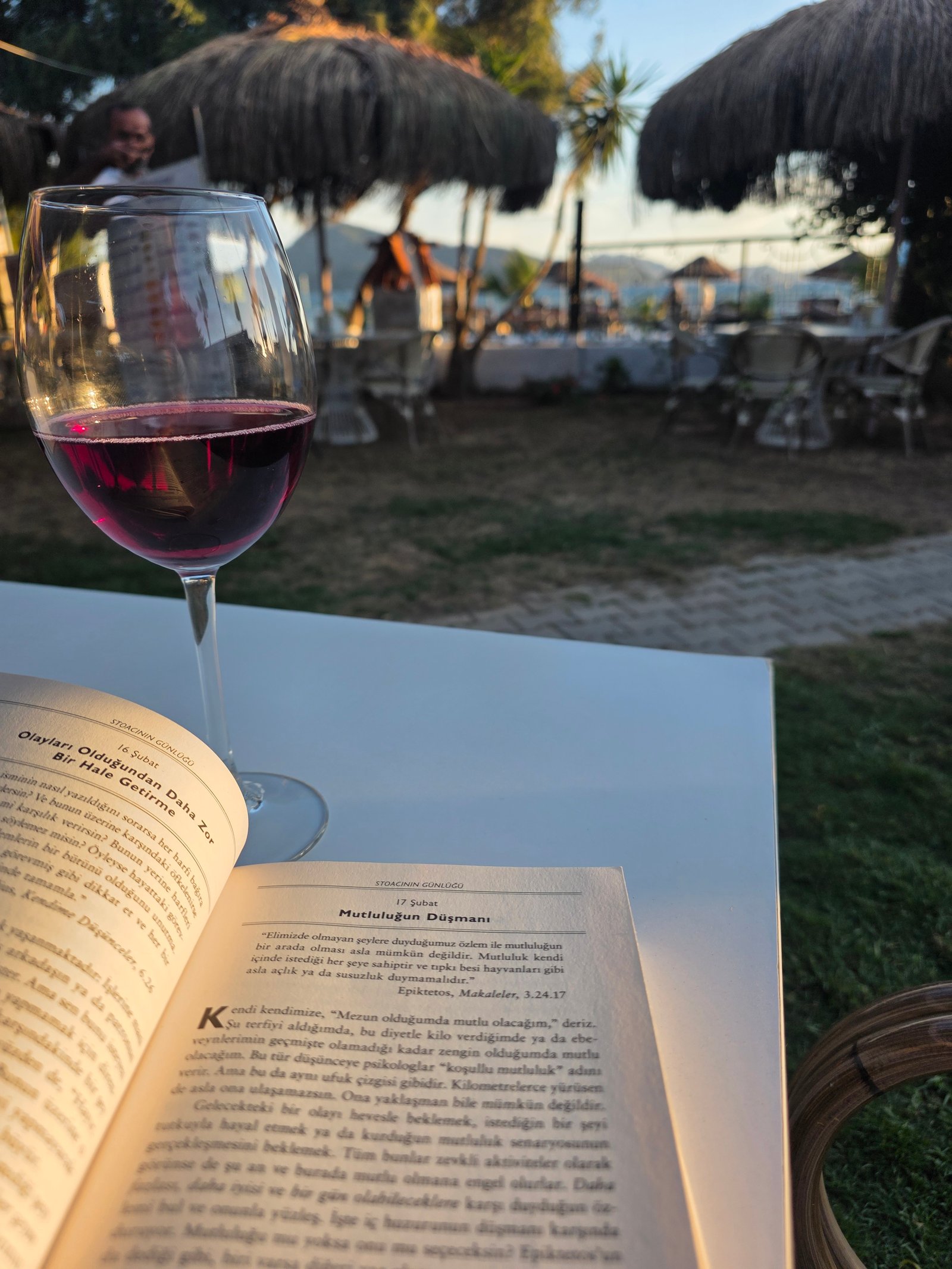 Wine and book in the seaside garden